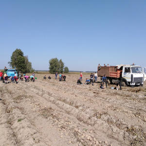 Работает студенческий отряд