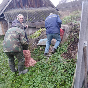 Обеспечили картофелем одиноких граждан