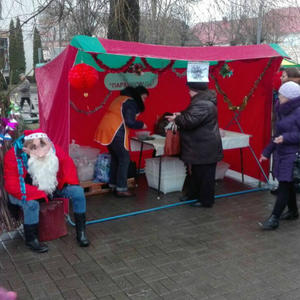 Приняли участие в новогодней ярмарке