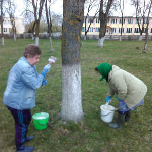 Приняли участие в  субботнике