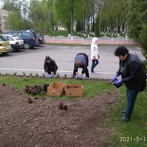 Благоустройство территории